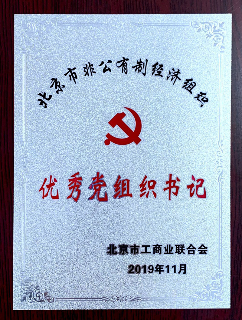 優(yōu)秀黨組織書(shū)記